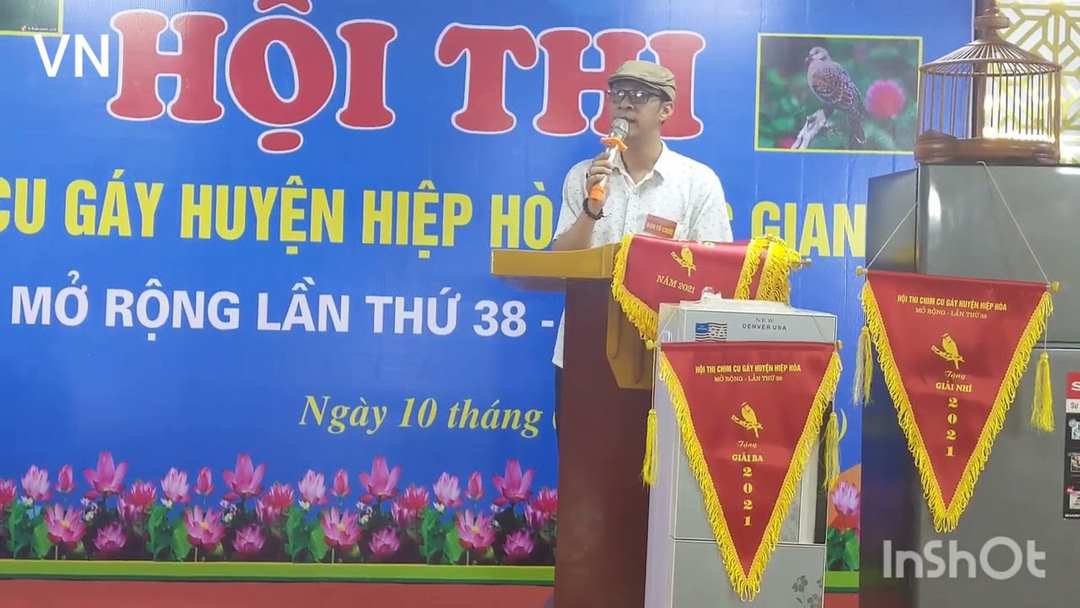 Cuộc thi chim cu gáy được tổ chức hằng năm với quy mô cực lớn