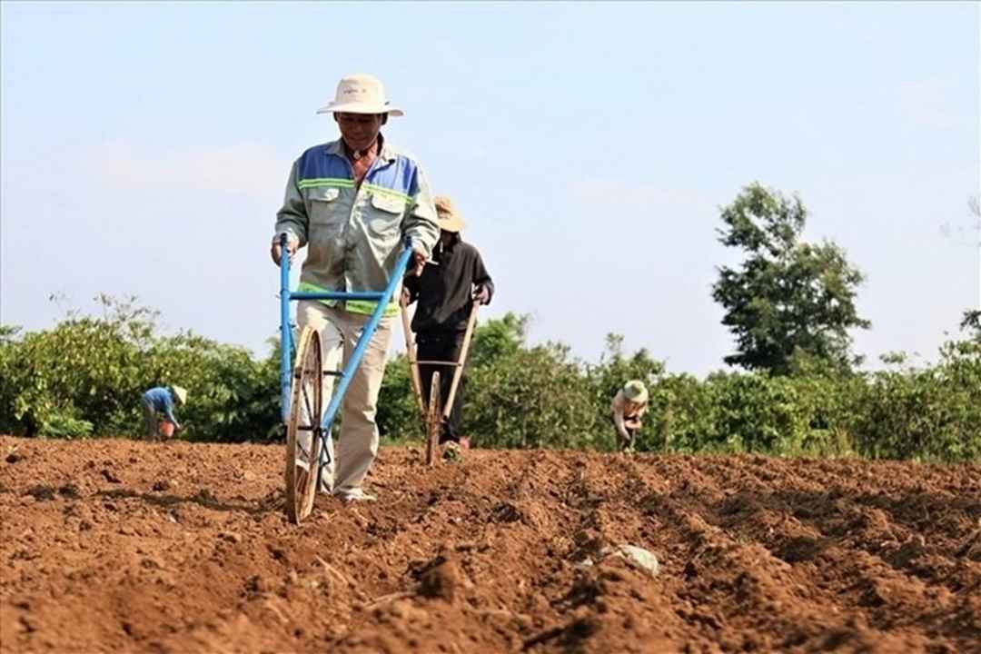 Cách phân biệt các loại đất trồng đơn giản cho người dân