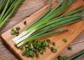 Hành lá được chế biến thành nhiều món ăn cực hấp dẫn