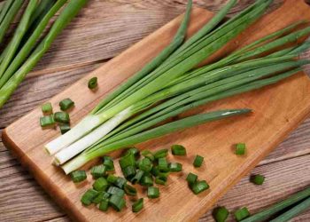 Hành lá được chế biến thành nhiều món ăn cực hấp dẫn