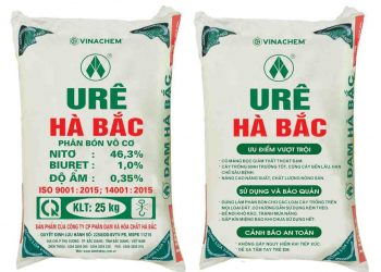 Tìm hiểu chính xác phân đạm là gì?