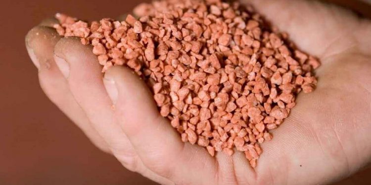 Phân bón Kali cung cấp nguyên tố vi lượng Kali cho cây