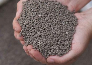 Phân lân cung cấp ion phốt phát (PO4)3-