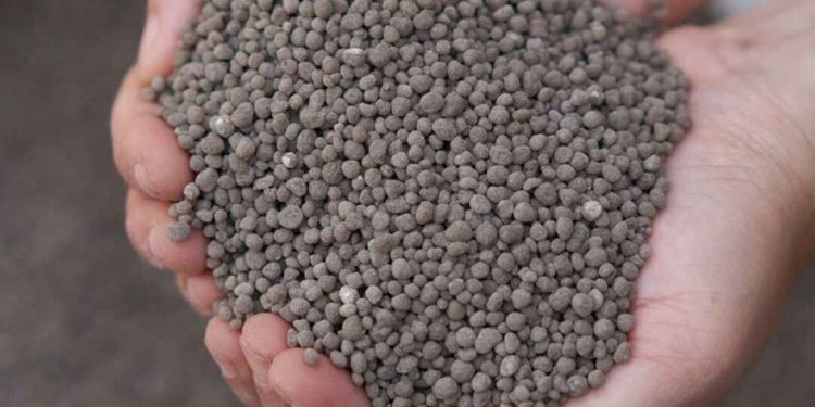 Phân lân cung cấp ion phốt phát (PO4)3-