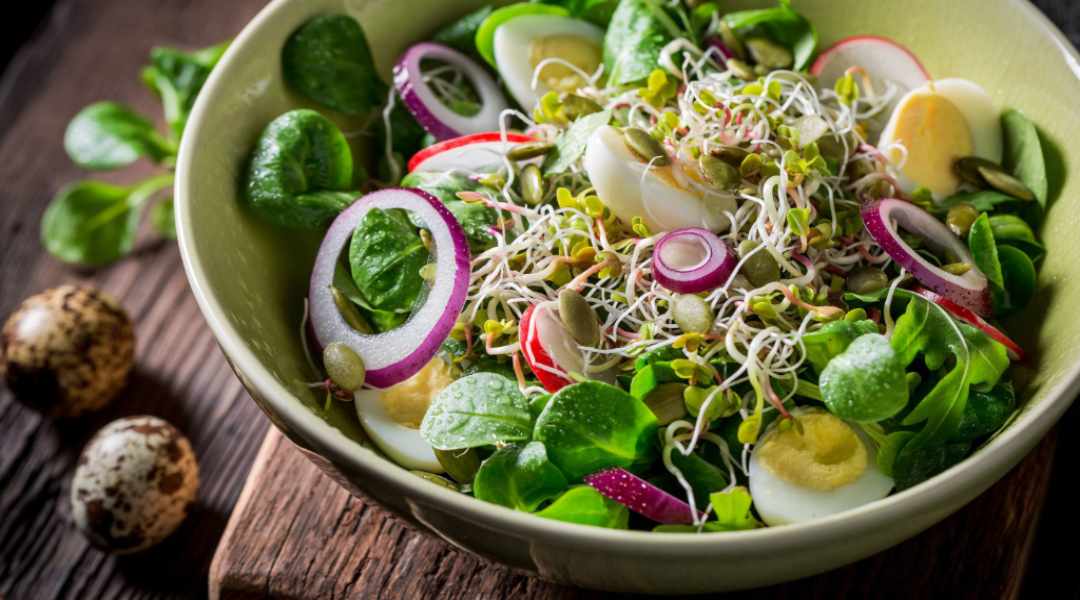 Salad luôn là món ăn trứ danh, làm nên tên tuổi của loại rau này 