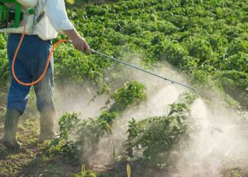 Tìm hiểu thuốc trừ cỏ là gì?