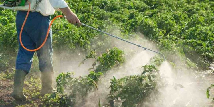 Tìm hiểu thuốc trừ cỏ là gì?