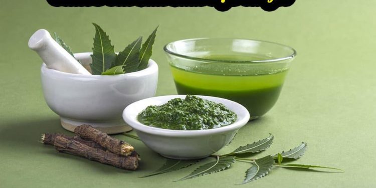 Thuốc trừ sâu vi sinh và thảo mộc là thuốc trừ sâu sinh học