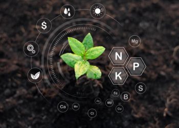 Phân đạm nitrat có vai trò gì đối với quá trình nông nghiệp?