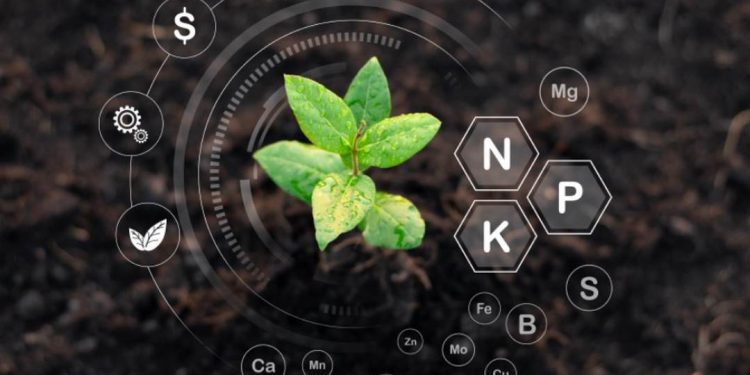 Phân đạm nitrat có vai trò gì đối với quá trình nông nghiệp?