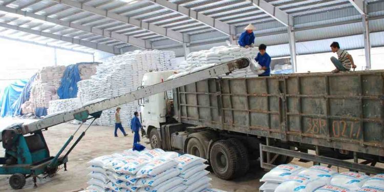 Tác dụng của phân đạm là gì? Đạm có quan trọng hay không?