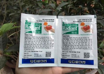 Các loại thuốc trừ sâu sinh học mang lại hiệu quả cao