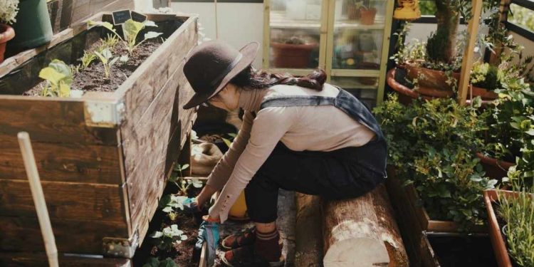 Cách sử dụng phân bón hữu cơ mang lại hiệu quả cao nhất