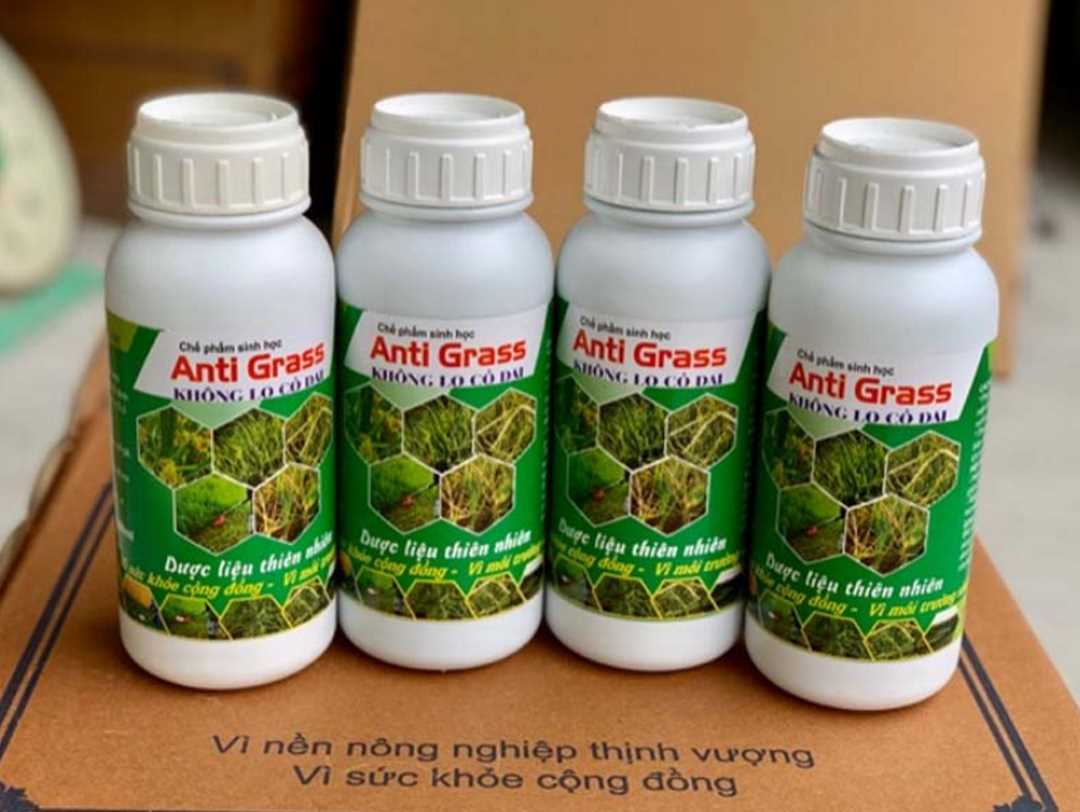 Chế phẩm sinh học chống cỏ gấu Anti Grass ở cây trồng