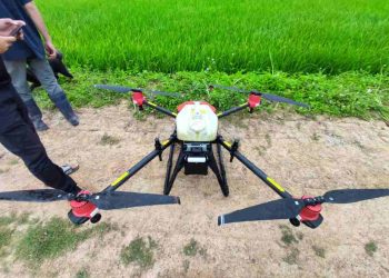 Thuốc diệt cỏ gấu nào hiệu quả? Những lưu ý khi sử dụng