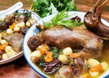Món ăn bổ dưỡng bồ câu hầm thuốc bắc