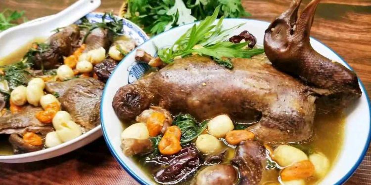 Món ăn bổ dưỡng bồ câu hầm thuốc bắc