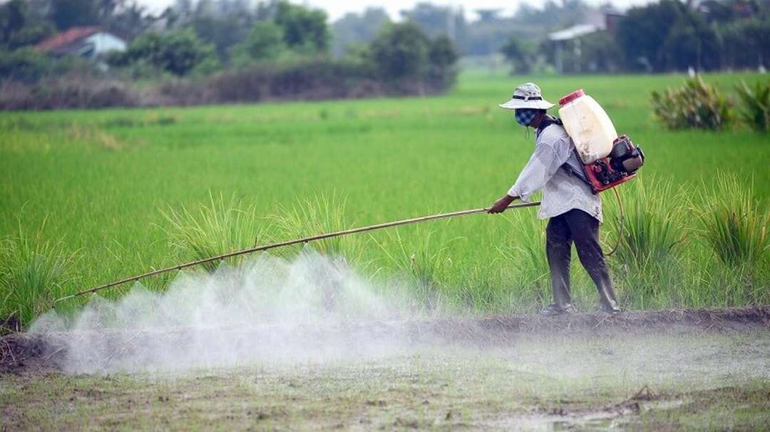 Nhóm biện pháp sử dụng thuốc hóa học