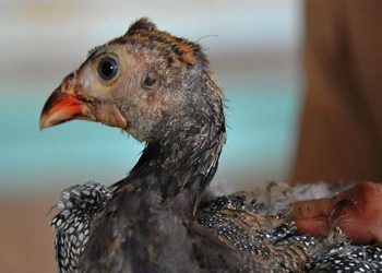 Cách phòng tránh bệnh hiệu quả