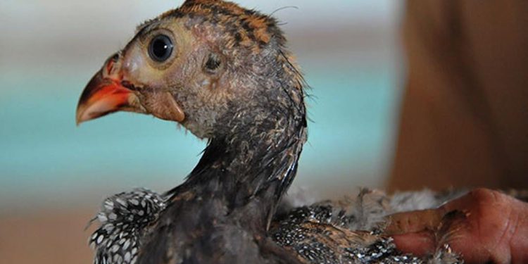 Cách phòng tránh bệnh hiệu quả