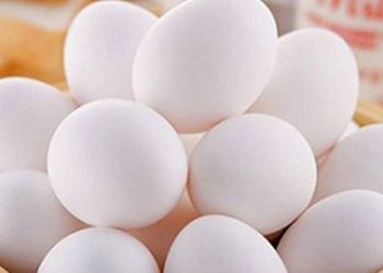 Trứng vịt bao nhiêu calo?