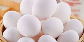 Trứng vịt bao nhiêu calo?